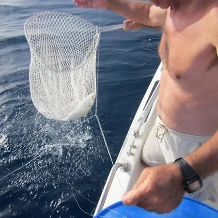 펜션 Casa Adelaide 푼타 세카